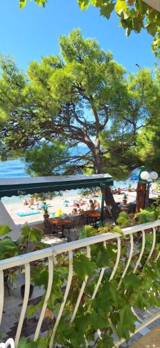 0-02-05-17aea5f7a6f12dd2d4818eb2c05269f80067a1ccf9c77548e425315de16b0bef_85ea8dfc464cede1